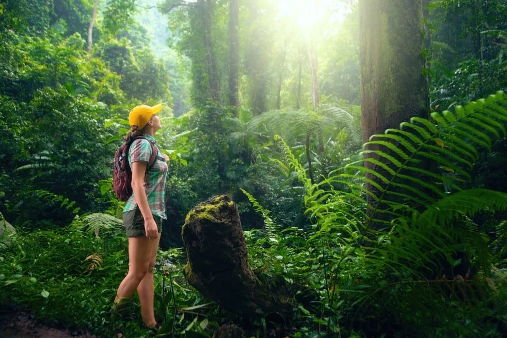 Sustainable Travel: Exploring the World Responsibly