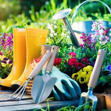 Home & Garden
